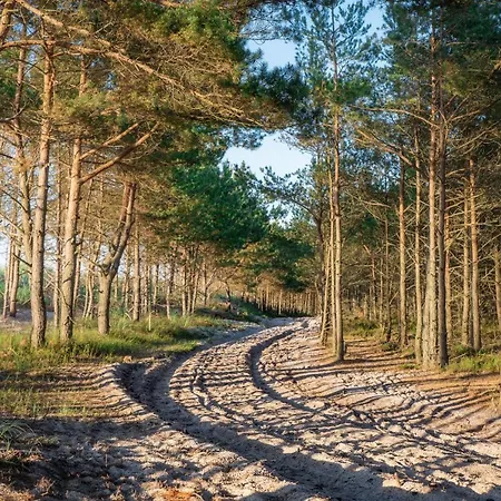 Tatil Evi Agroturystyka Gawrys Drewniany Domek Sasino